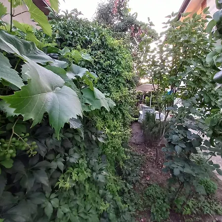 Homestay Bas Bastica Kladovo