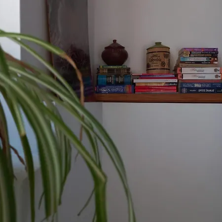 Bas Bastica Homestay Kladovo