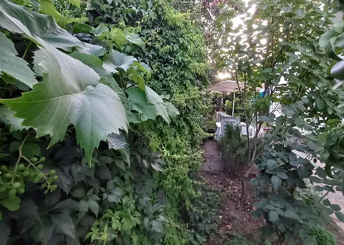 בית אירוח Bas Bastica קלדאבו